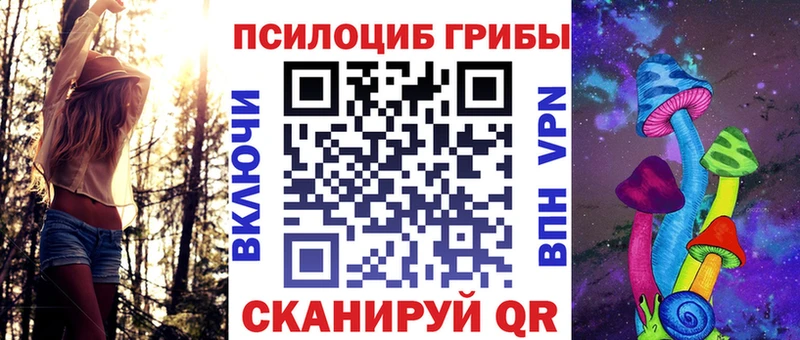Купить где  Белоозёрский  Псилоцибиновые грибы GOLDEN TEACHER 